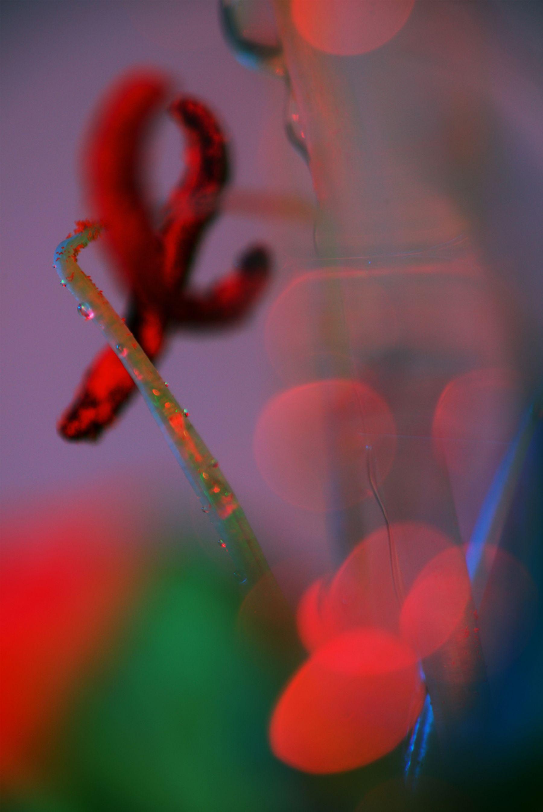 A photograph featuring a zoomed-in shot of a red flower, part of the stem is in focus while the flower’s anthers are slightly less in focus. The rest of the flower is blurred against a lilac background.