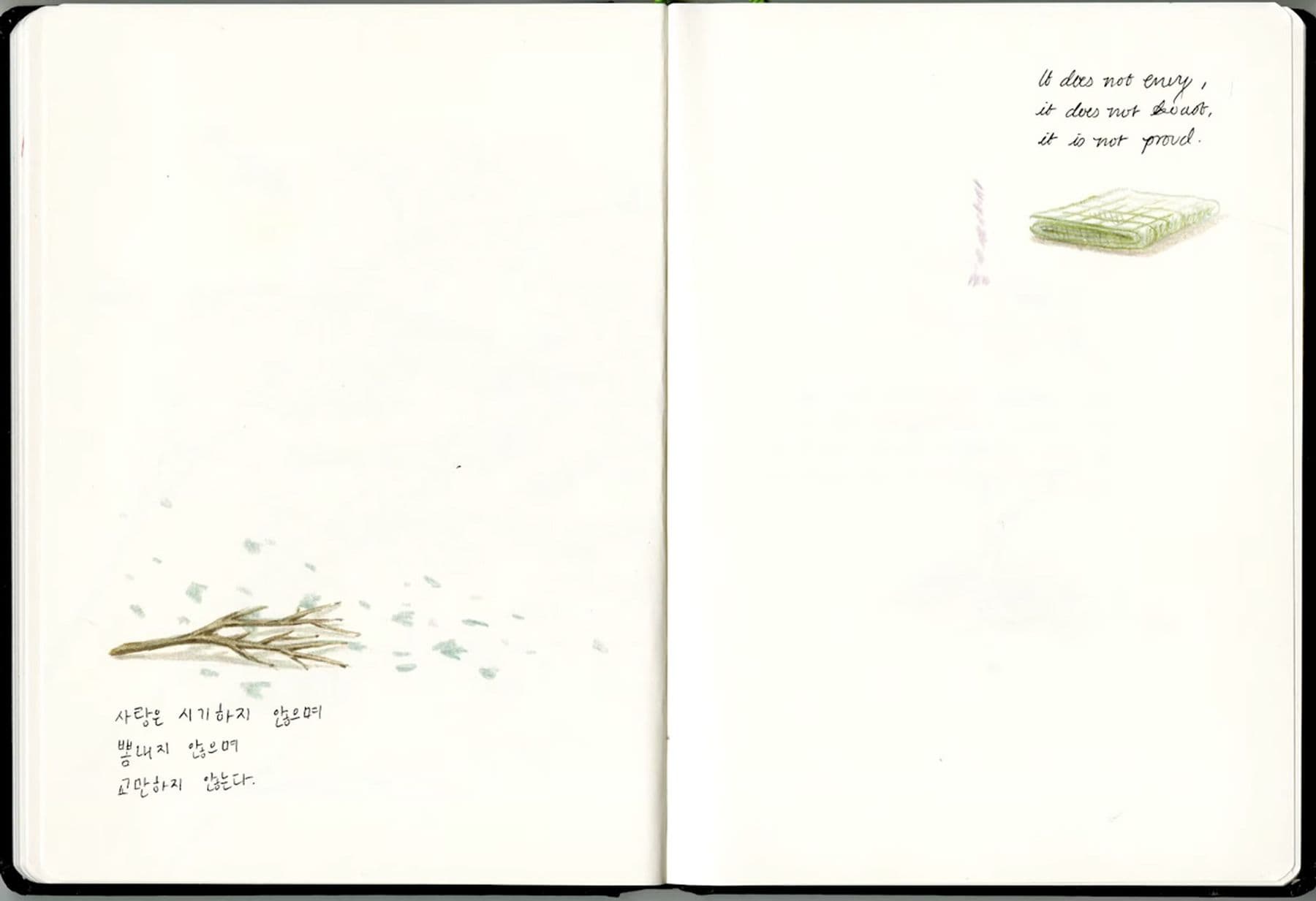 An illustration of an open notebook with a small branch illustration on the left page and a green notebook sketch with text on the right page.